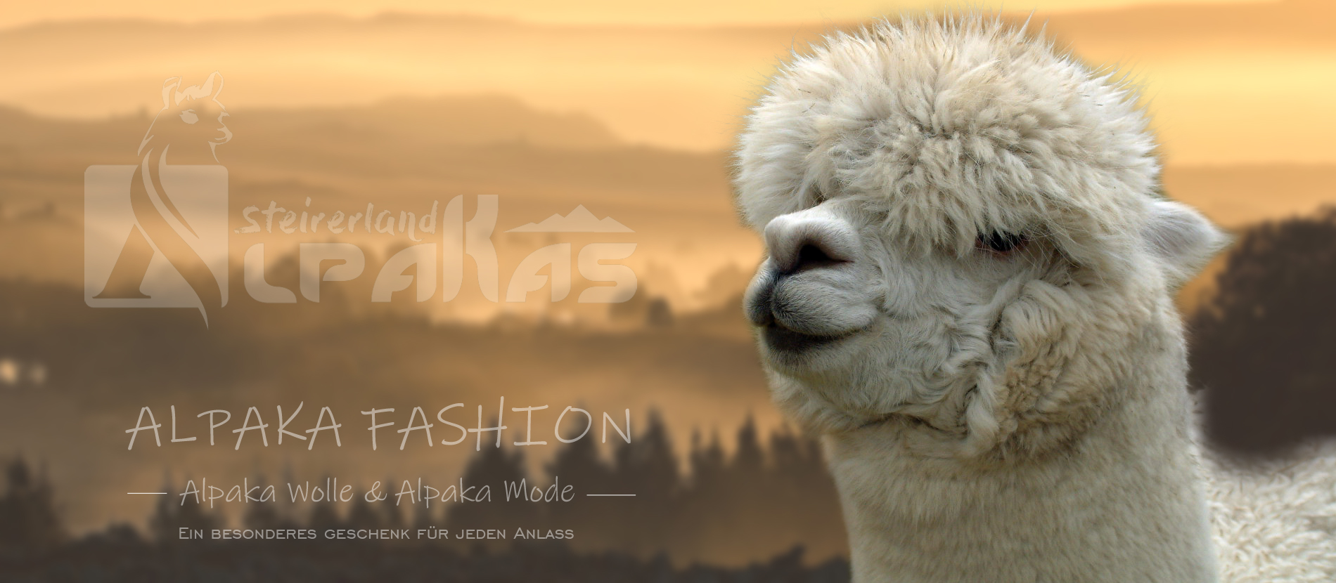 Alpaka Schlüsselring Wolle Packung Vieh S